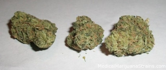 Big Cheese