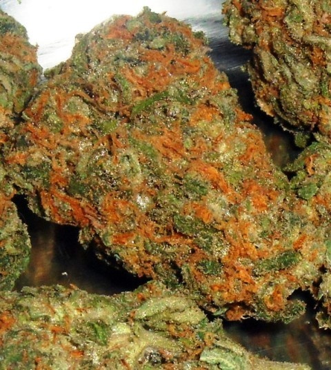 Big Kahuna