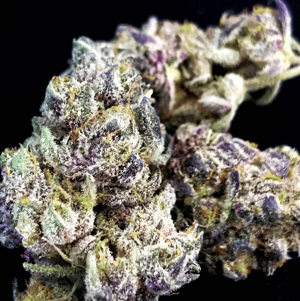 Black Raspberry