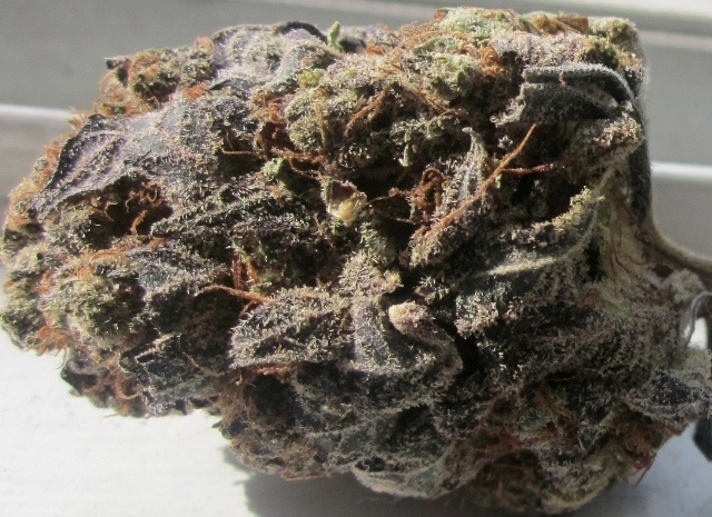 Blackberry Cream
