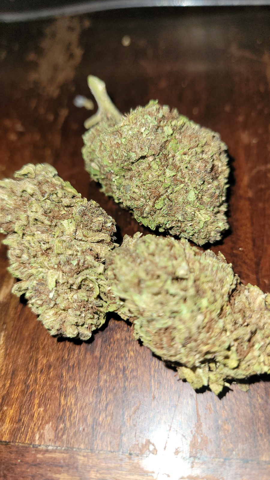 Blackberry Fire