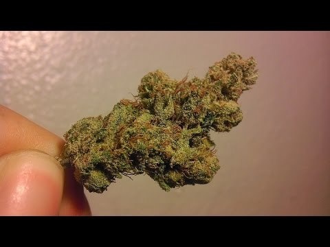 Blackberry Haze