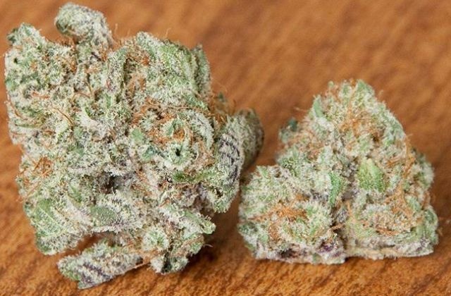 Blackberry x Blueberry