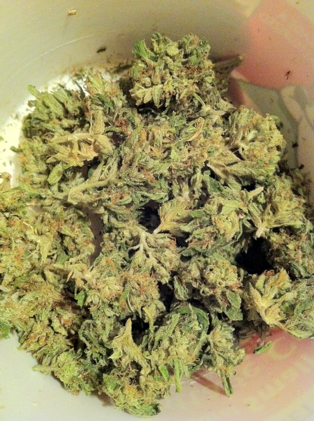Blob OG