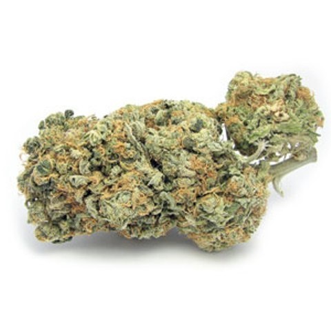 Blue Dream La Vie