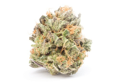 Blue Maui