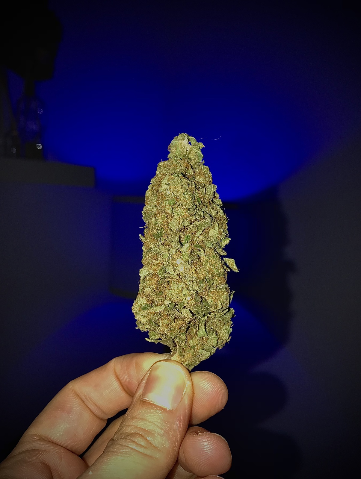 Blue Monster