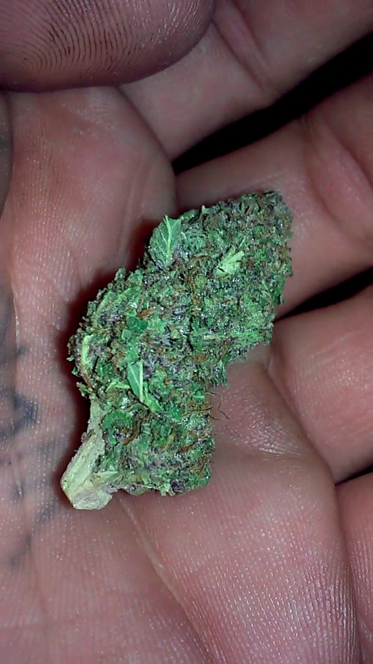 Blue Moon Rocks