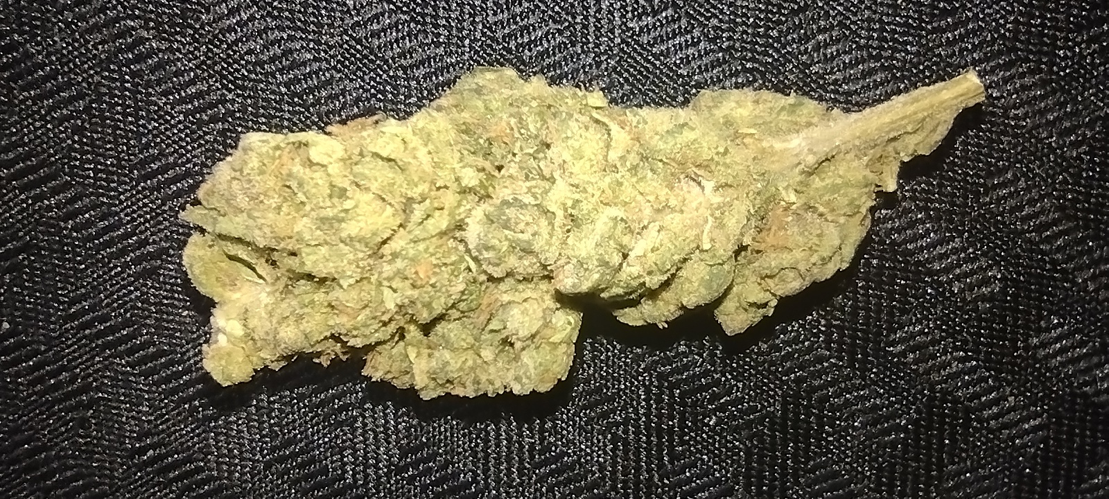 Blue Skunk Special