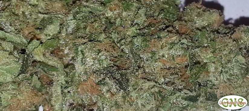 Blue Wreck