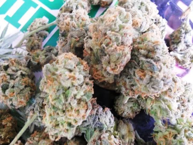 Blueberry Blast