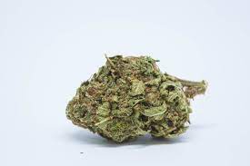 Blueberry Breath