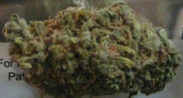 Blueberry Chemdog