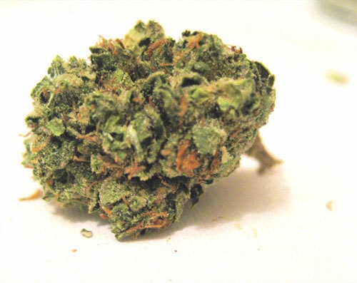 Blueberry Cough