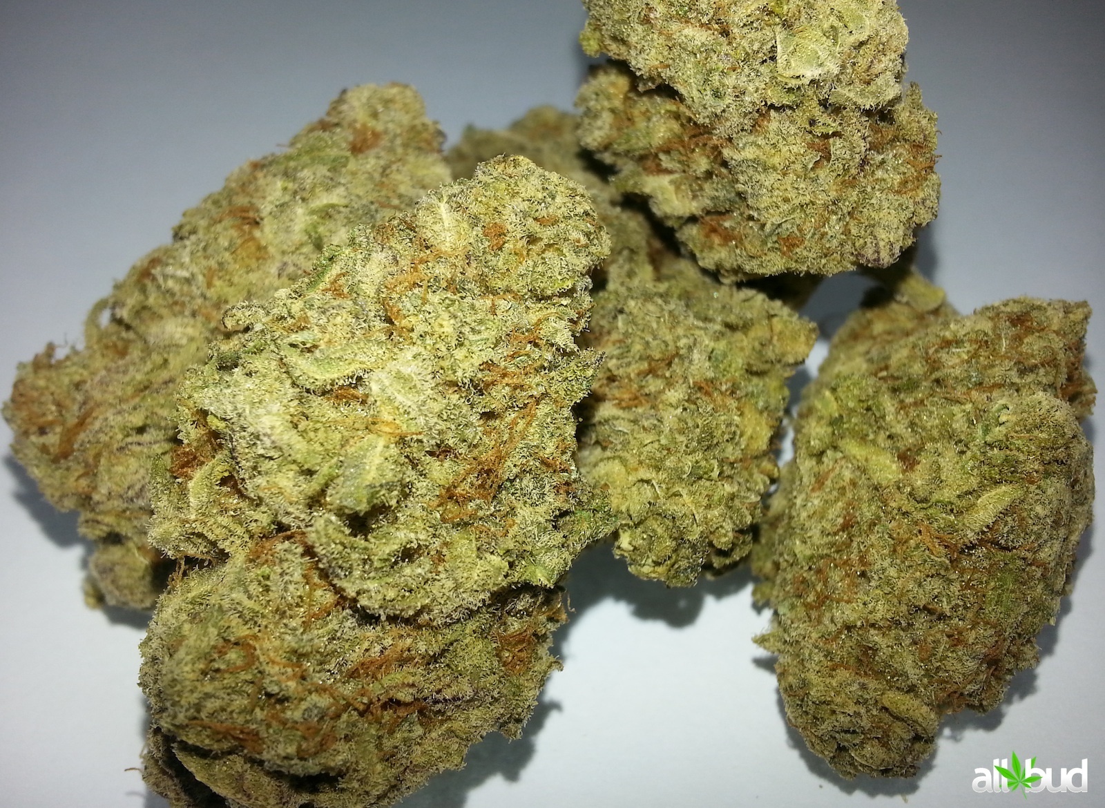 Blueberry Crush