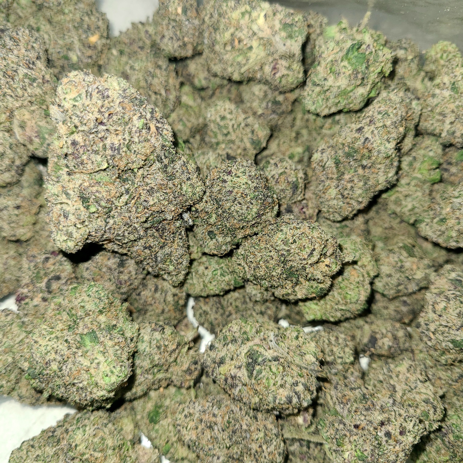 Blueberry Gelato