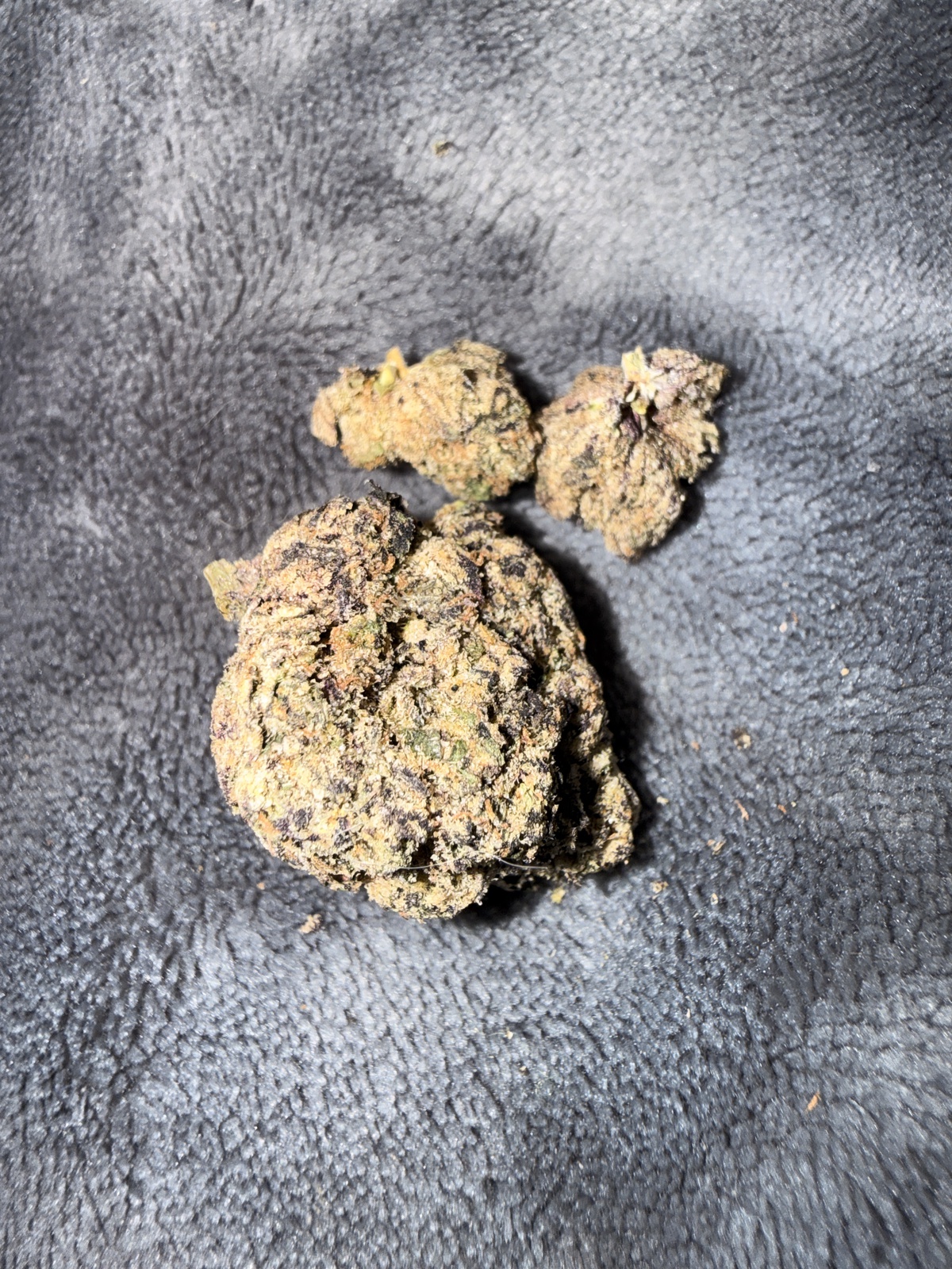 Blueberry Jam