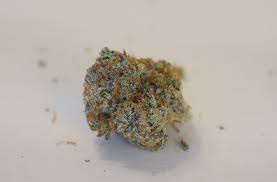 Blueberry Shortcake
