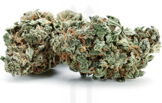 Blueberry Triple OG