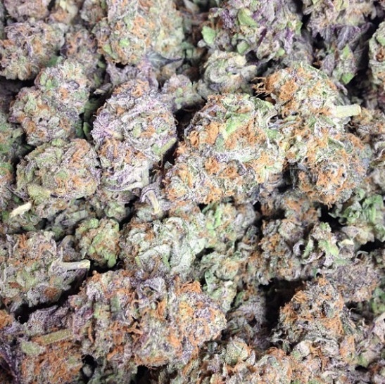 Blueberry Waltz