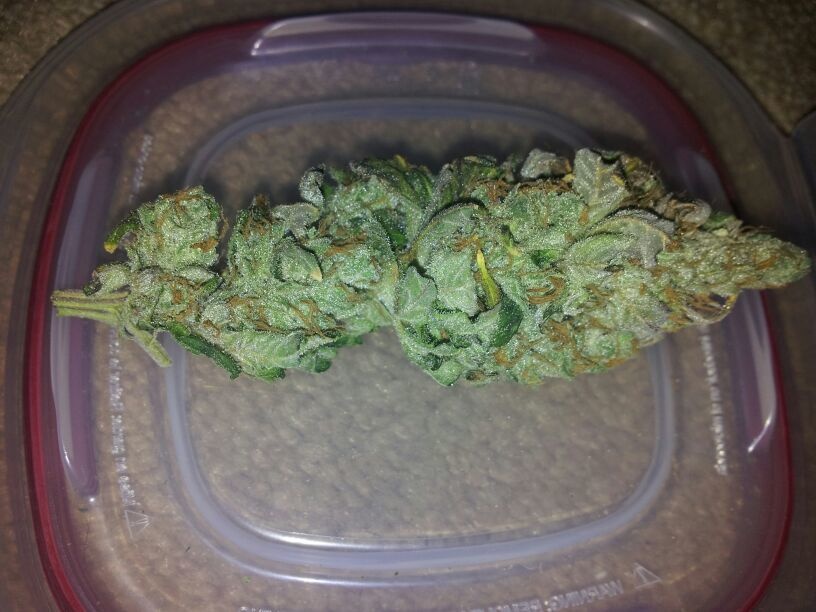 Blueberry Hash