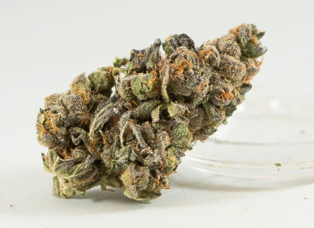Blurple