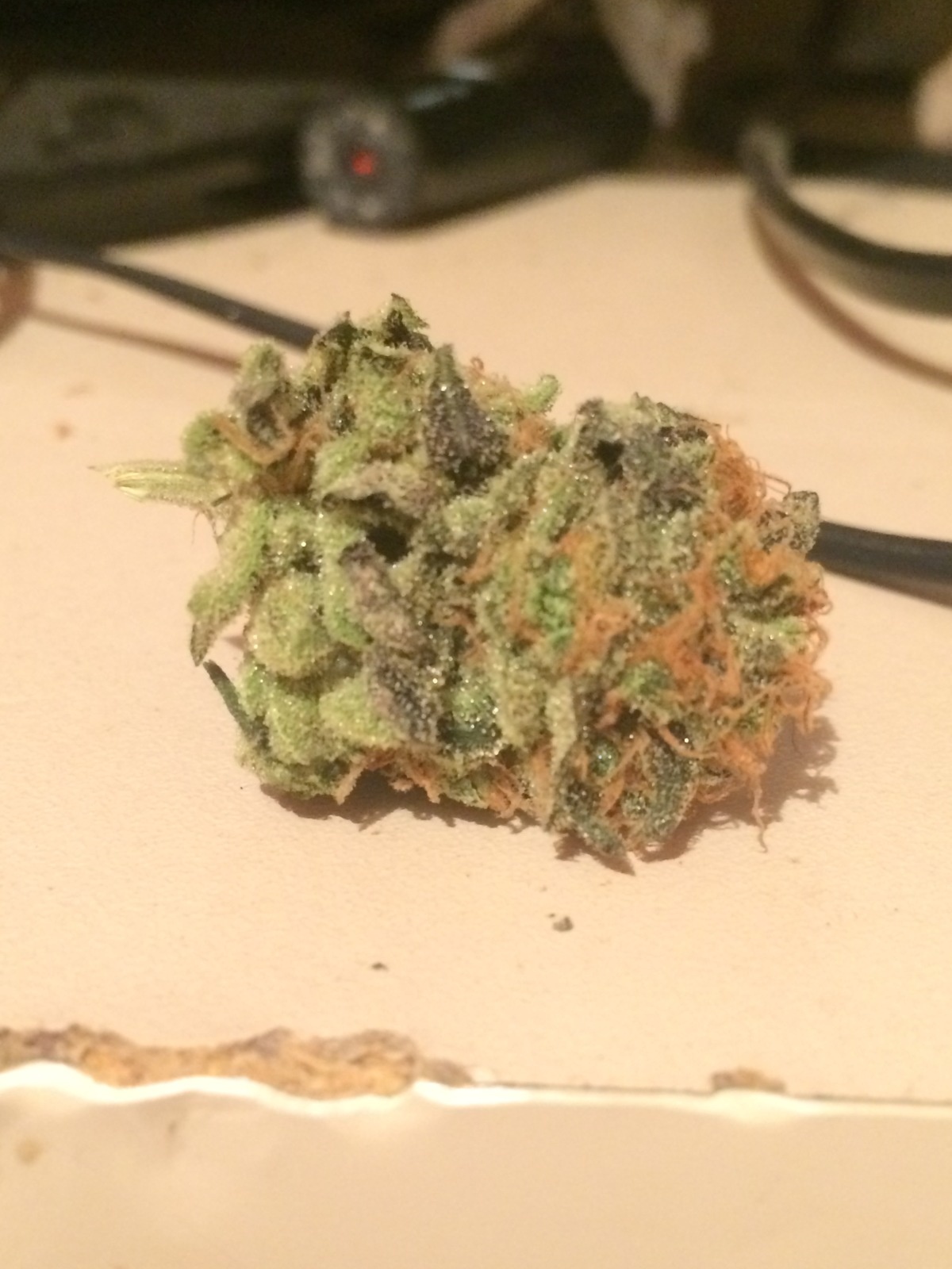 BLZ Bud