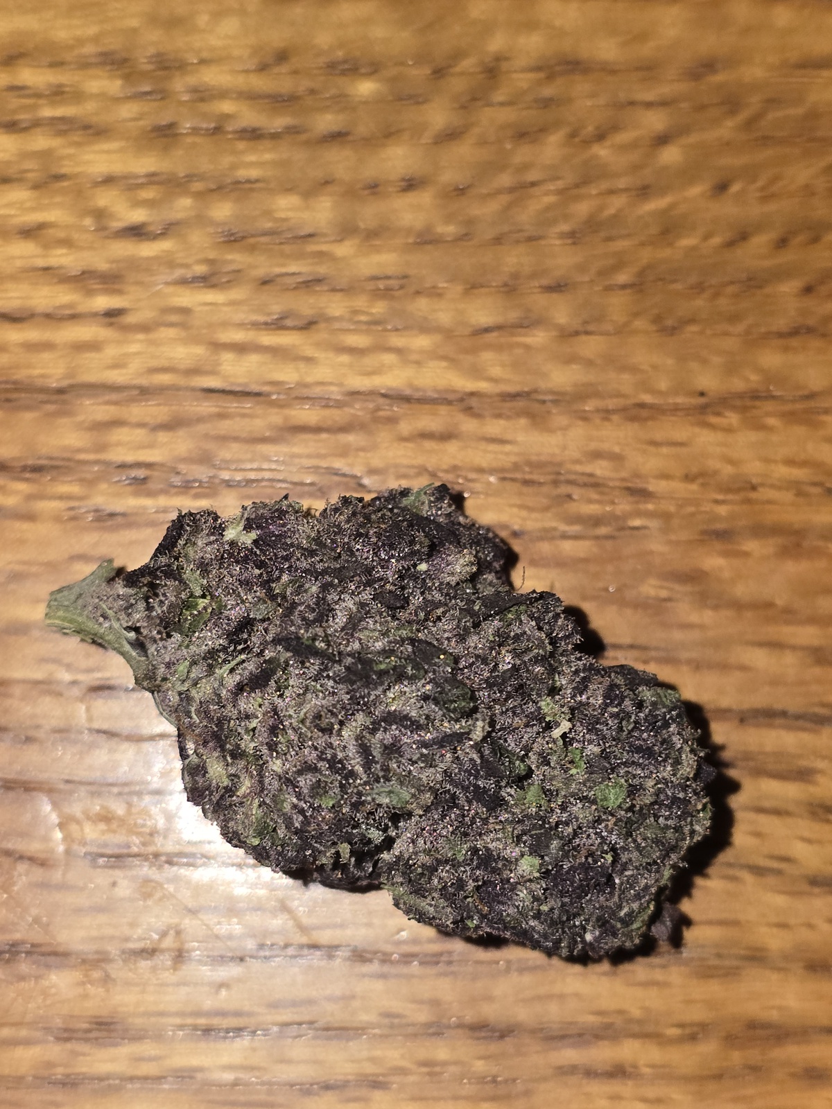 Bodhi Dragonfruit