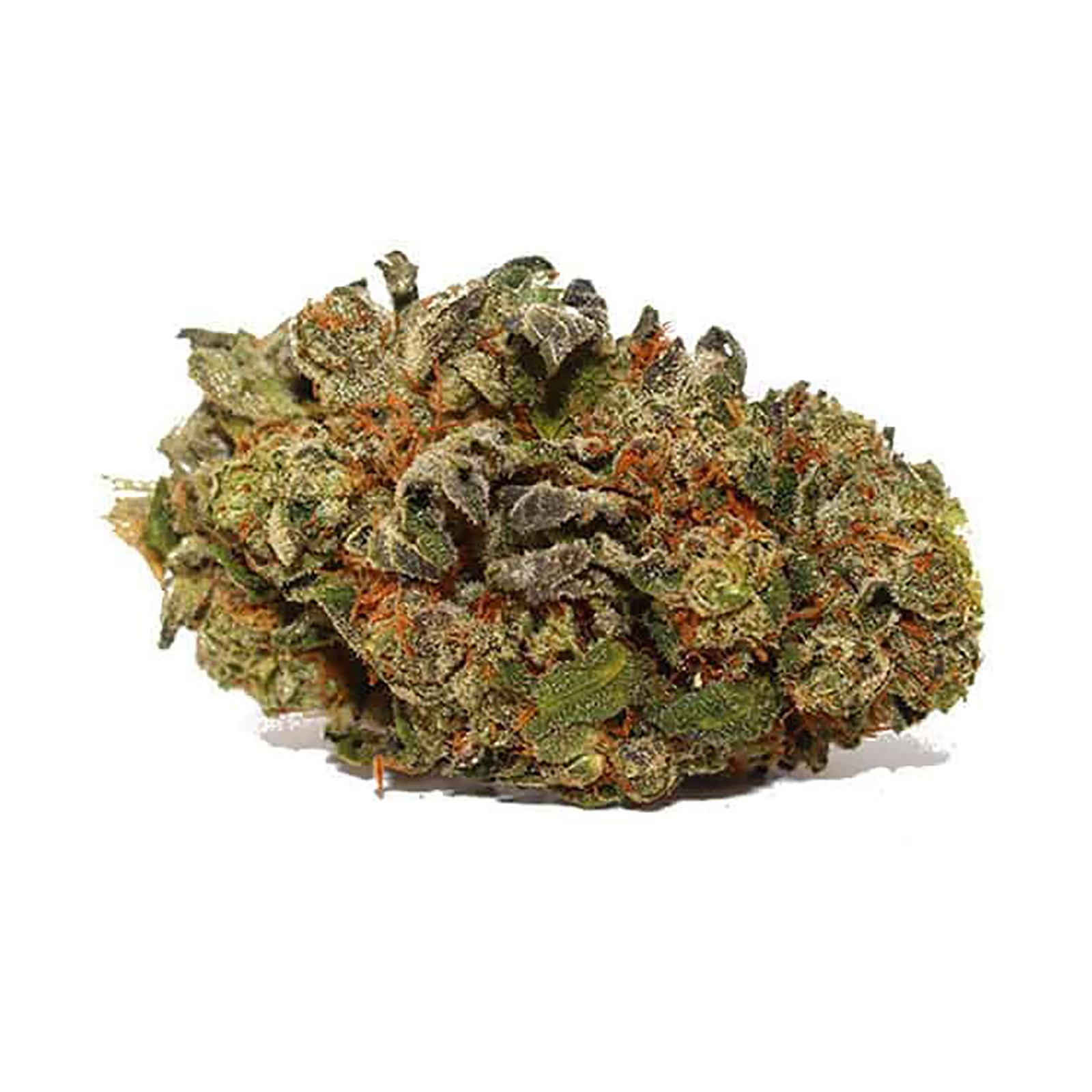 Boy Scout Cookie