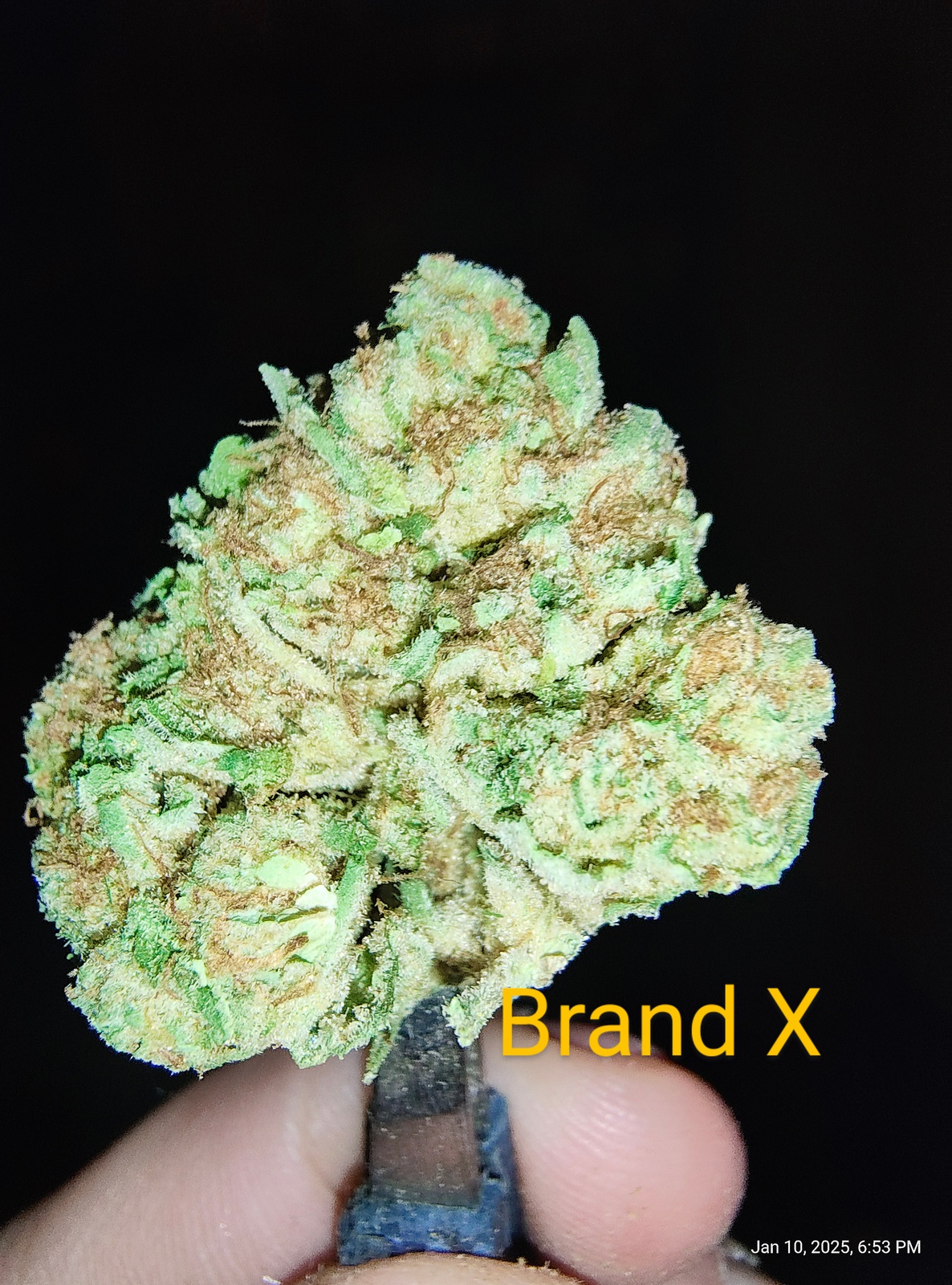 Brand X