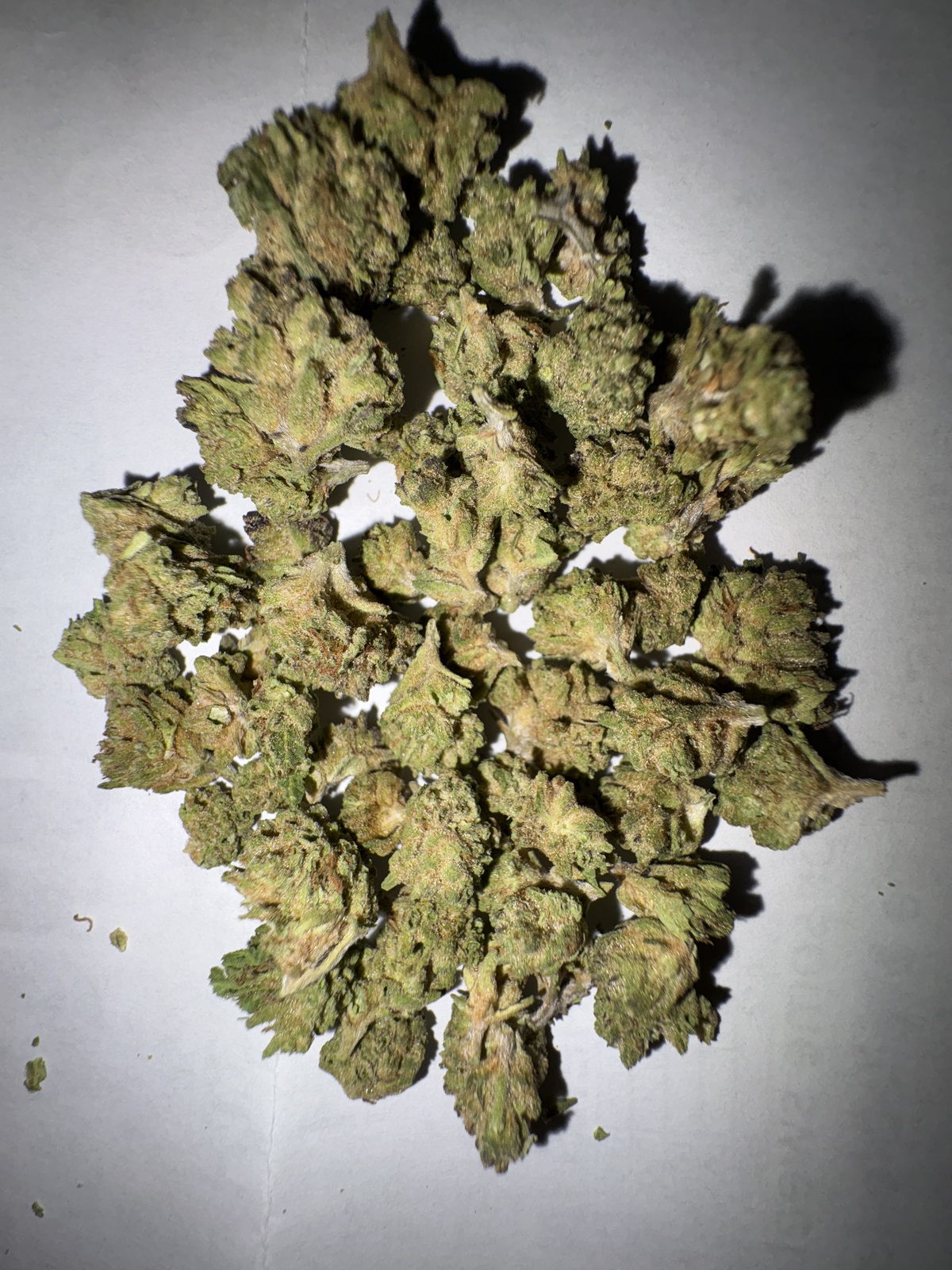 Breakfast Kush