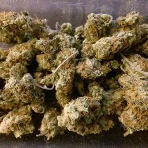 Brian Berry Cough