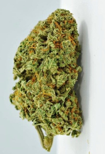 Bubba Fresh