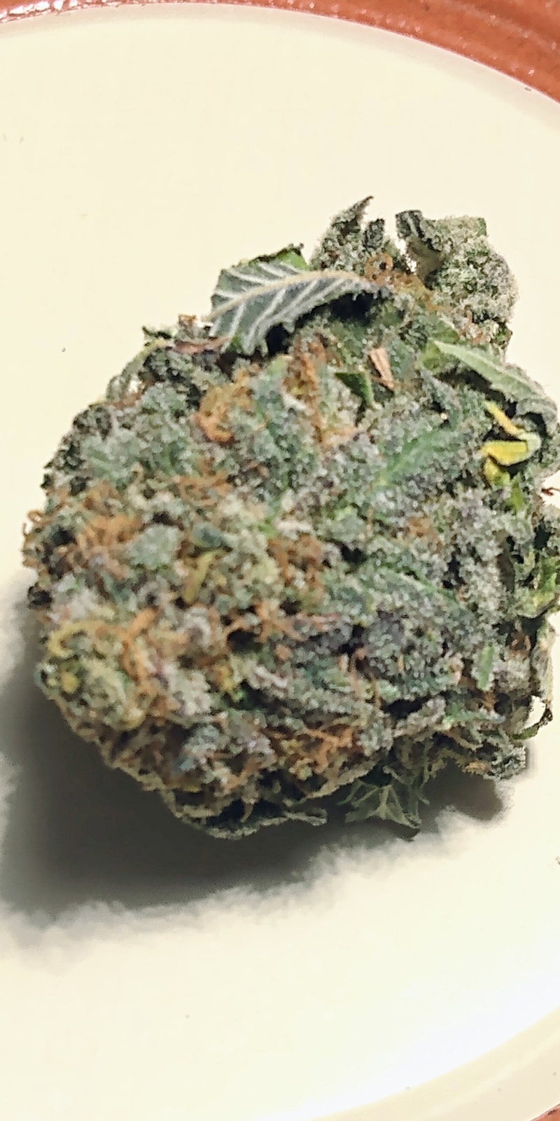 Bubba Walker