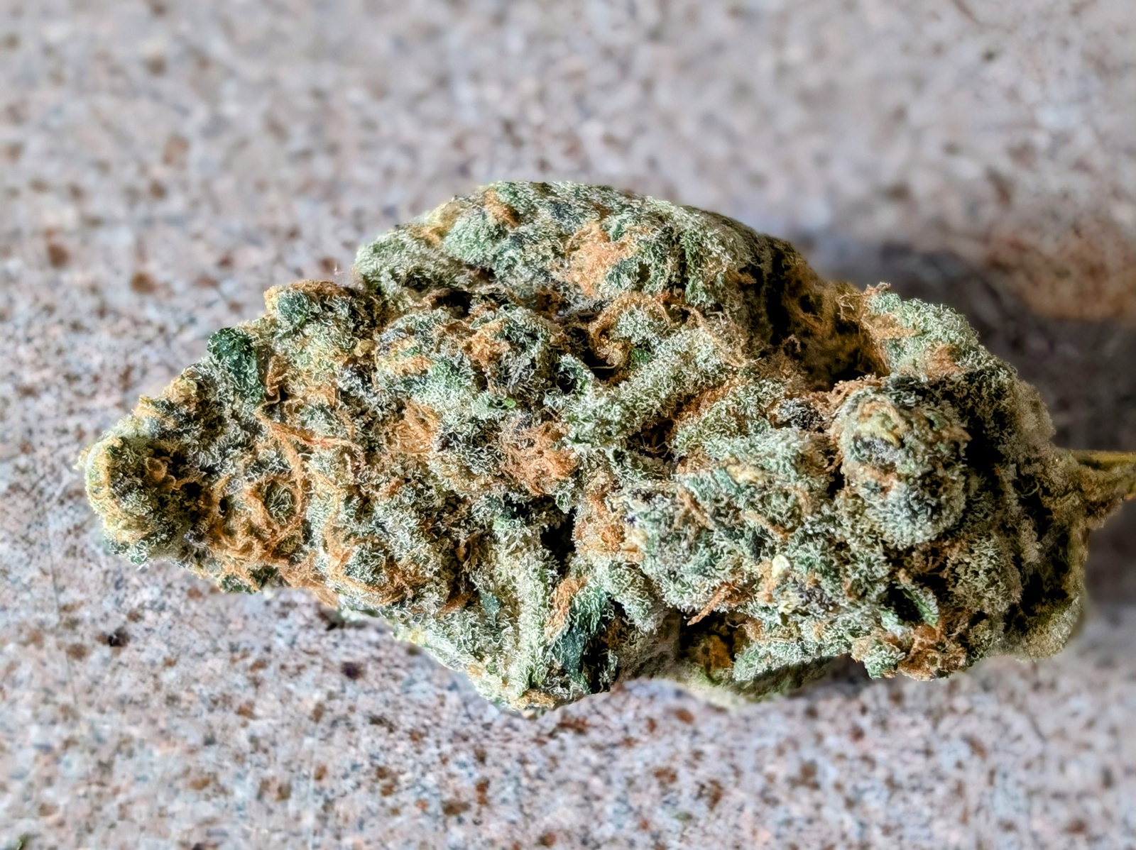 Buddha Haze