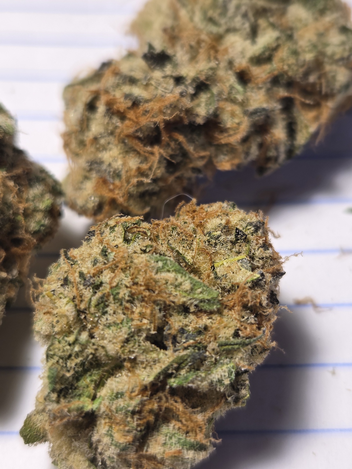 Cactus Breath