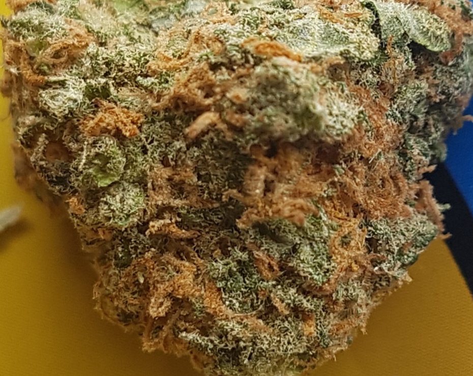 Cali Clones OG
