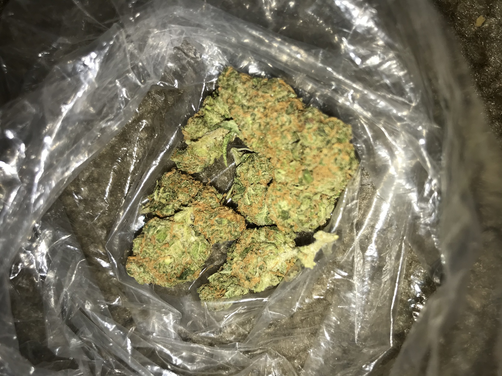 Cali Dream