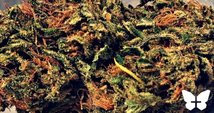 Cali Fire