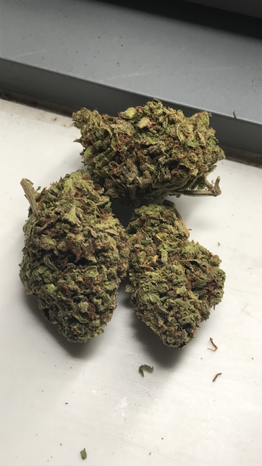 Cali Wild Fire