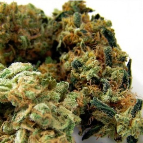 Cambodian Haze