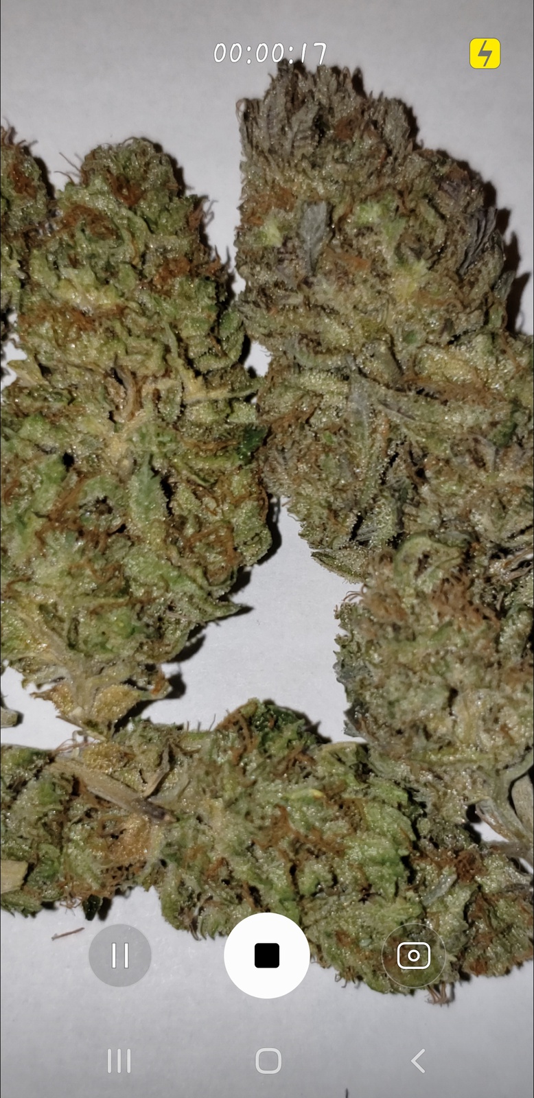 Candy Kream