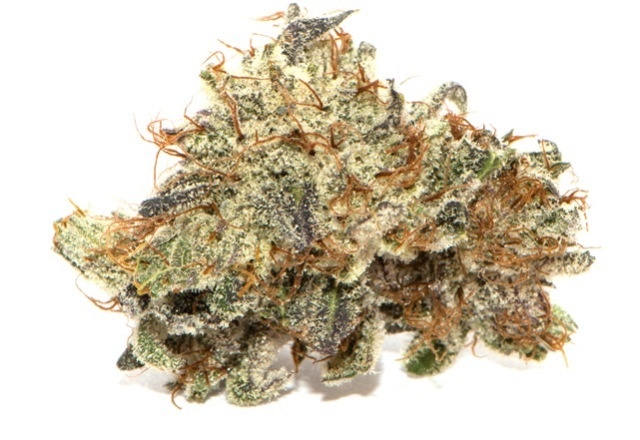 Cascade Connie