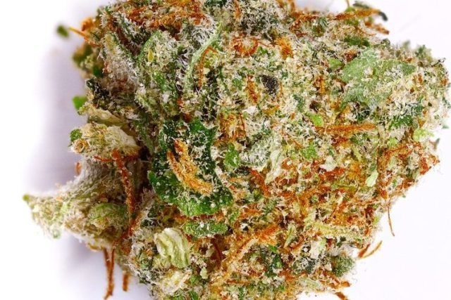 Cascadia Kush
