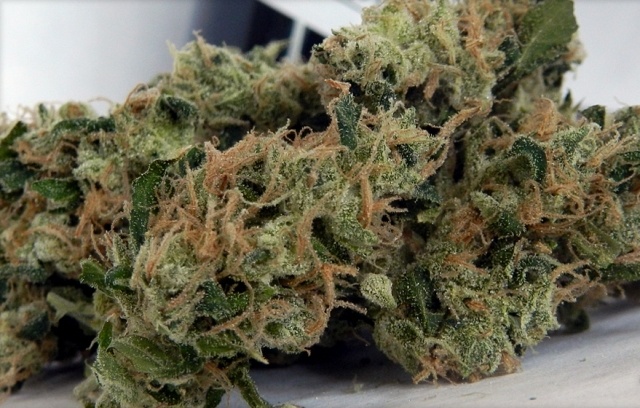 Charlie OG Kush