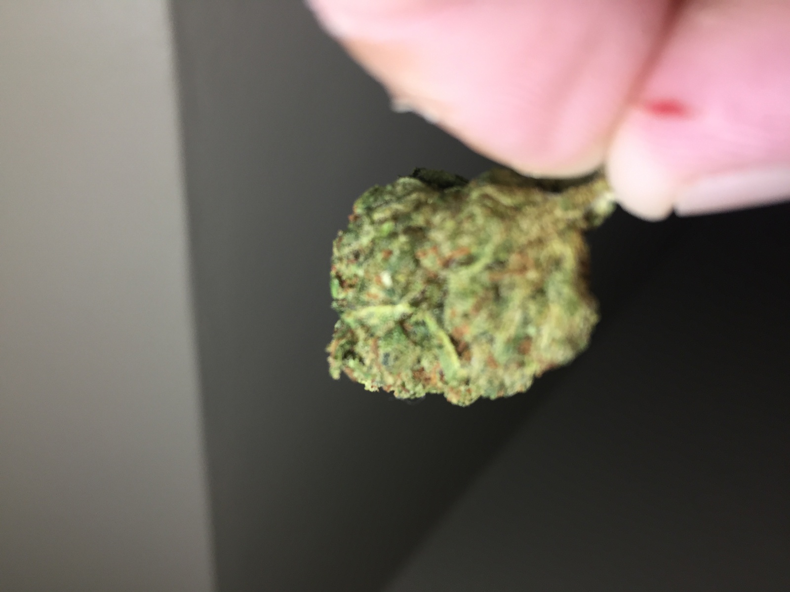 Chem D.O.G.