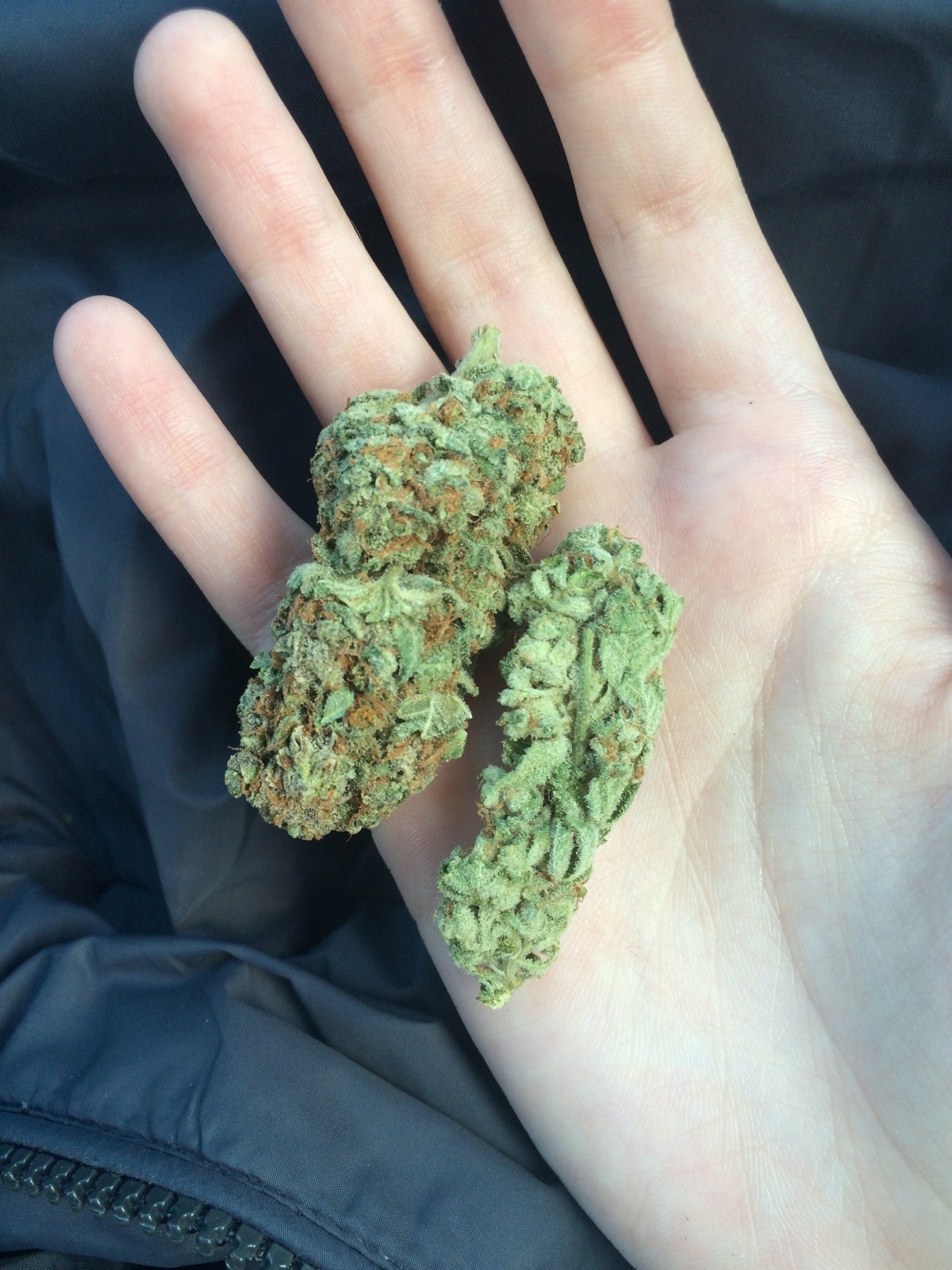 Chem Valley Kush