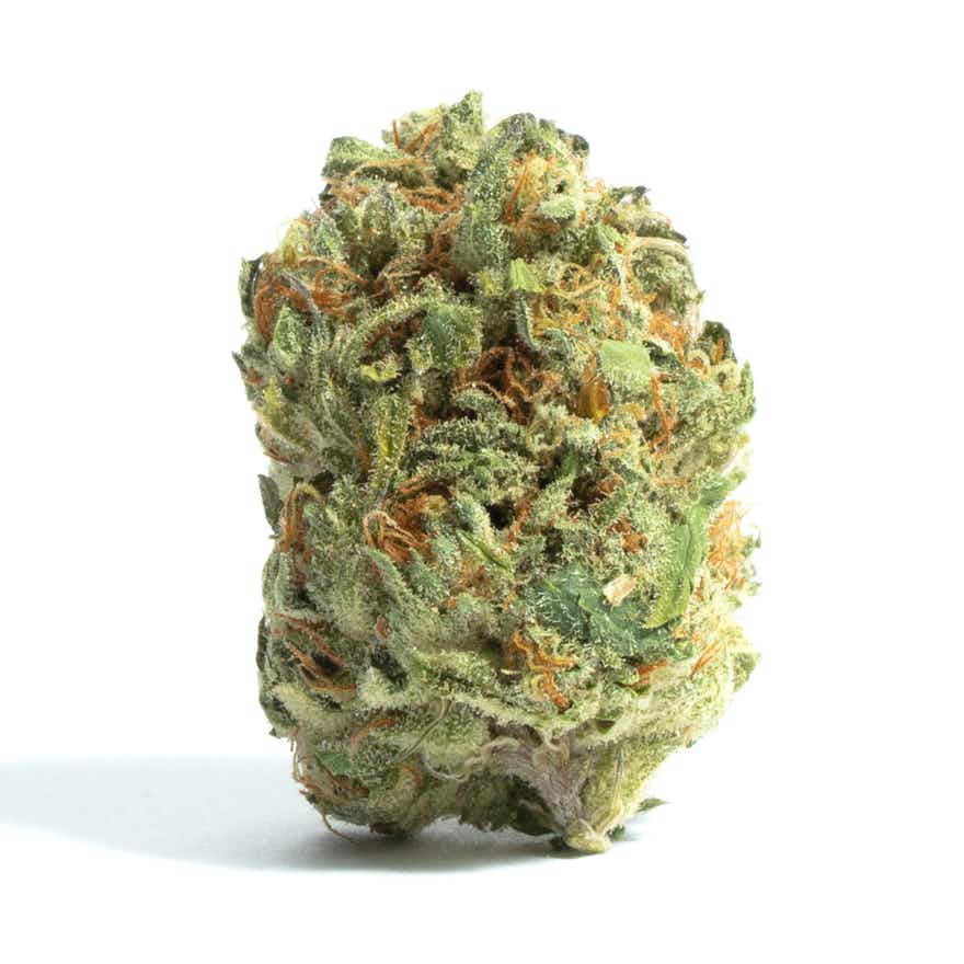 Chembo Kush