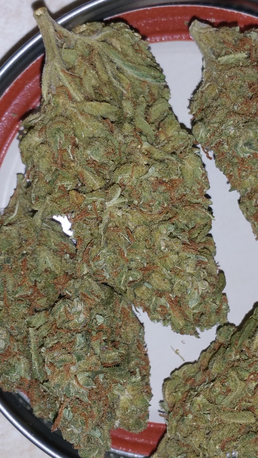 Cherry Durban Poison