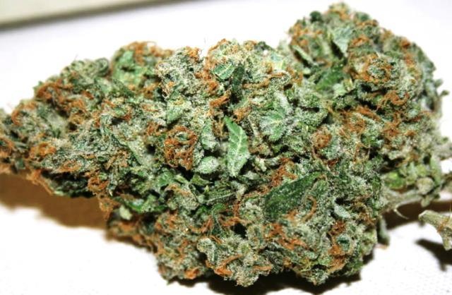 Cherry Thunder Fuck